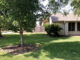 Pecan Front Side Yard